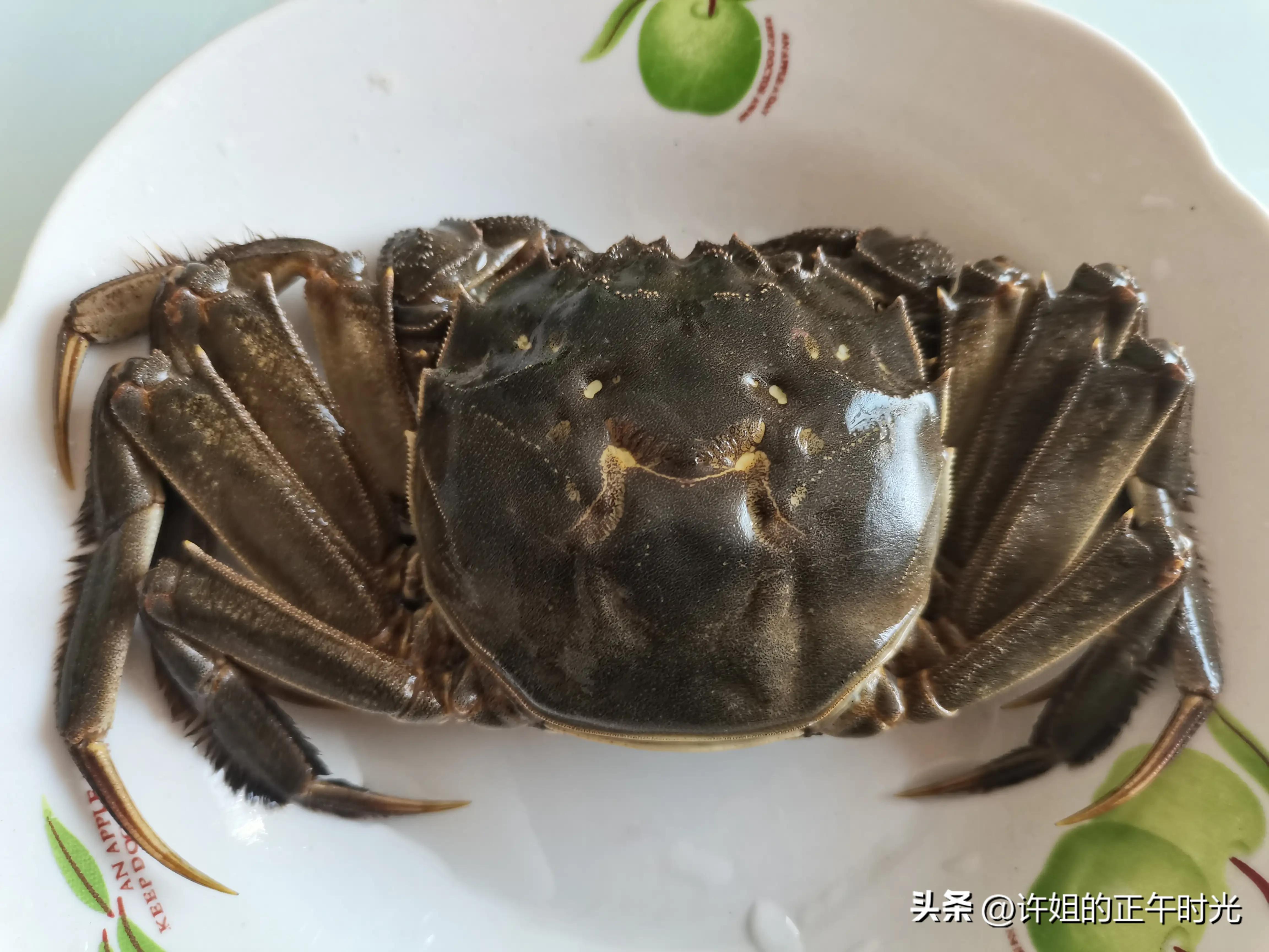 螃蟹生长中需要vc吗,螃蟹的生长过程动画版