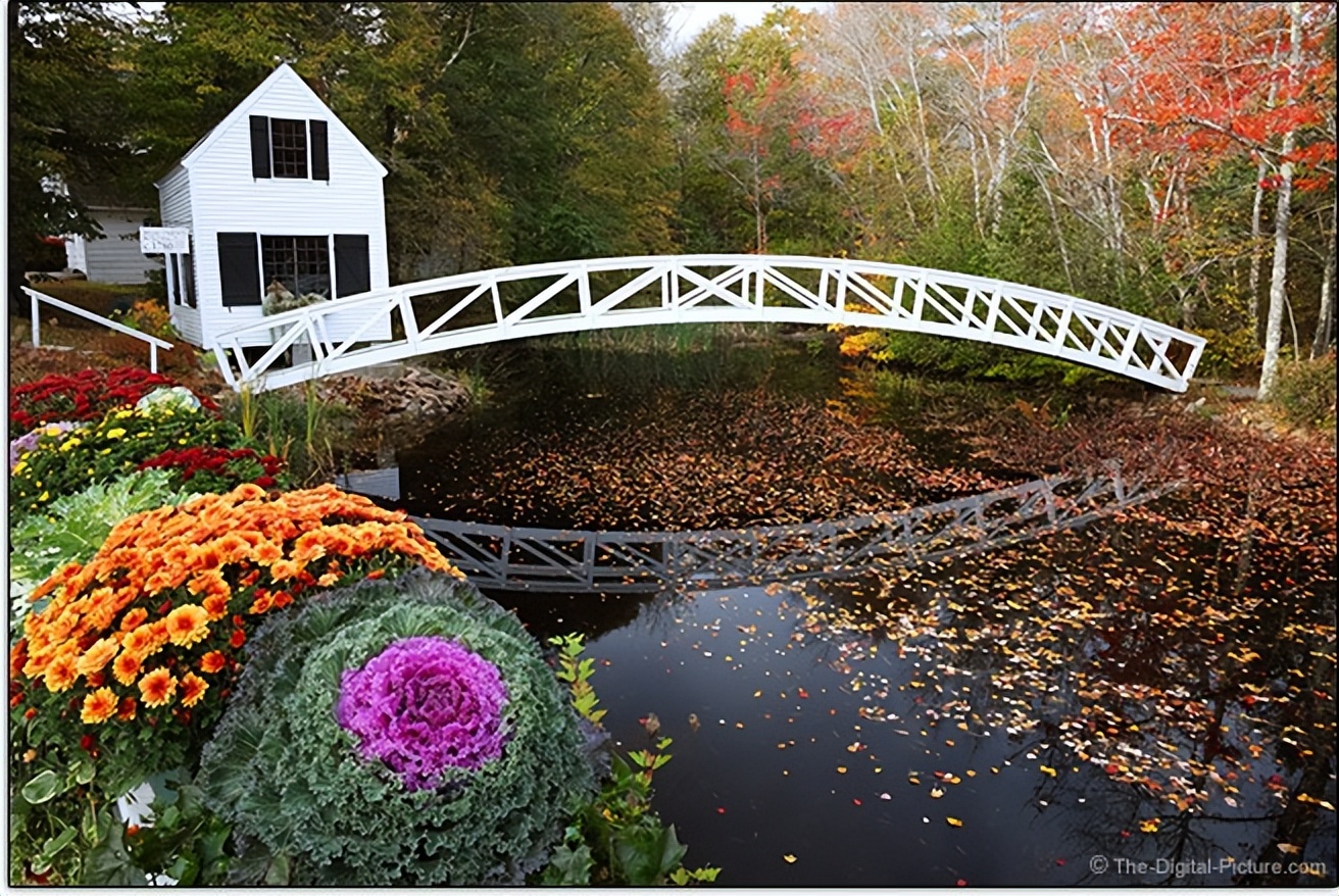 浣宠兘eosr8娣卞害娴嬭瘎,浣宠兘eosr8鐢昏川娆ｈ祻