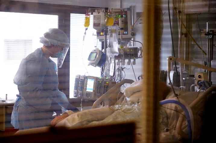 地球上最大的史前蛇,地球最大的水蛇