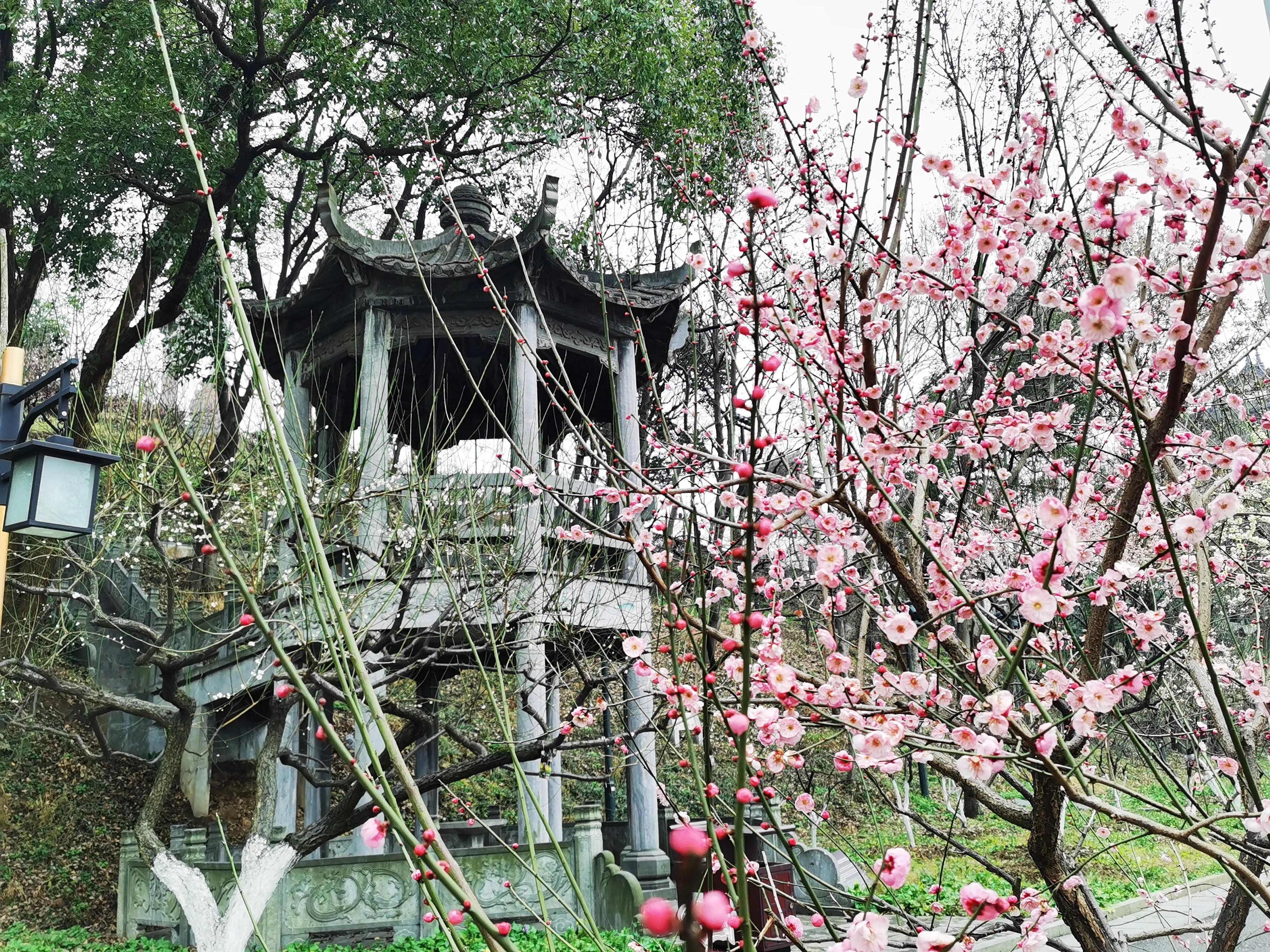 黄鹤楼十四景,黄鹤楼外游