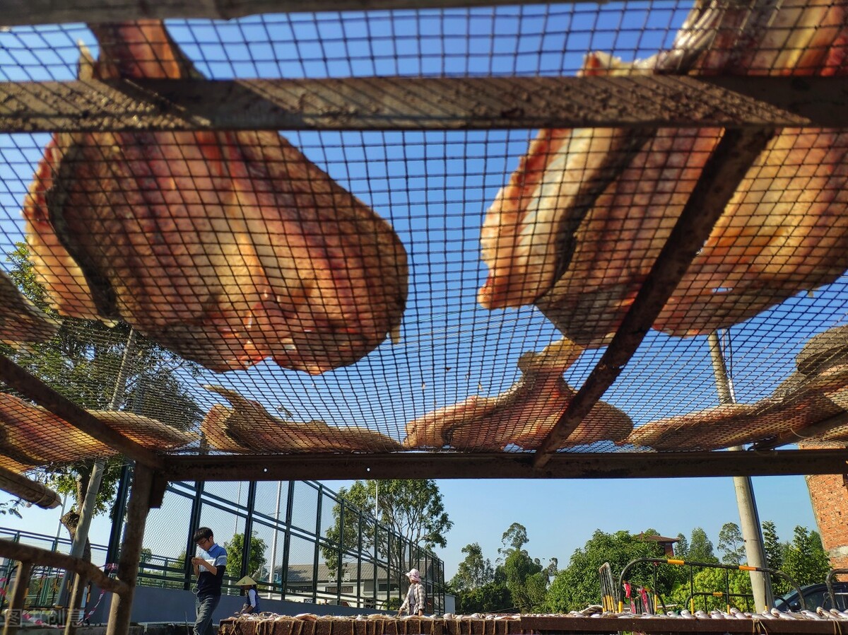 咸鱼为什么有刺鼻味,广东咸鱼为什么是臭的