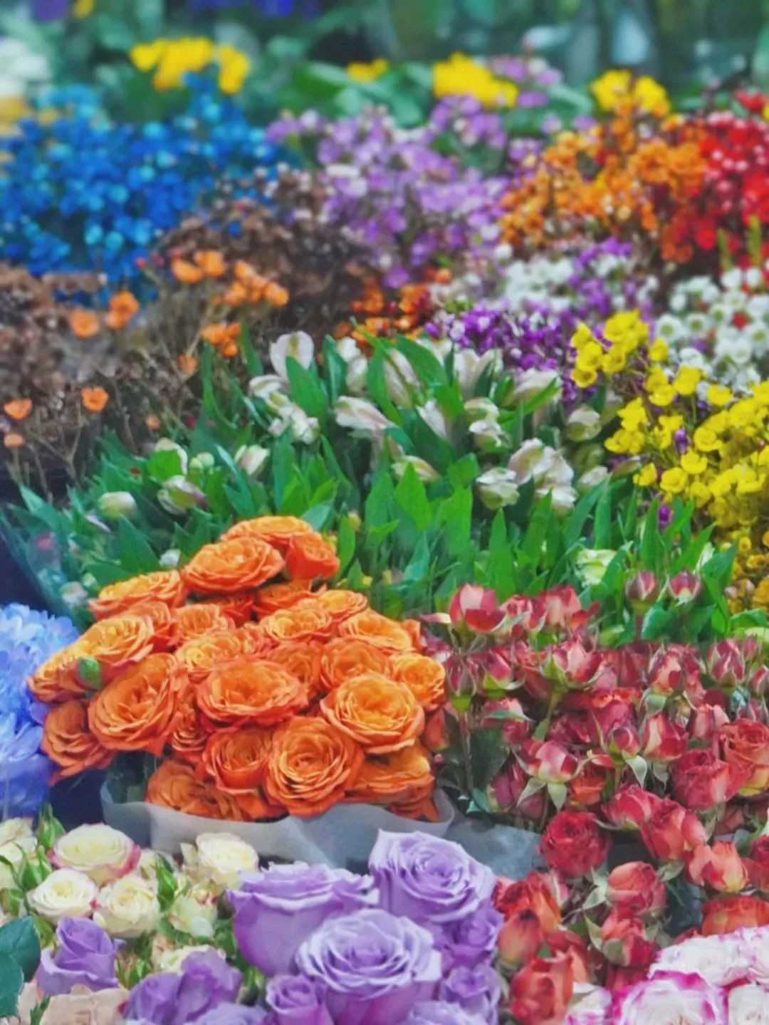 济南花市排名,济南赏花打卡地