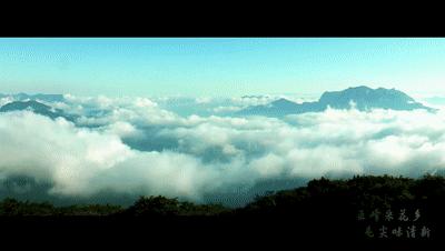 婀栧寳鎵惰传鑼跺彾,鎵惰传瀵瑰彛甯壎婀栧寳