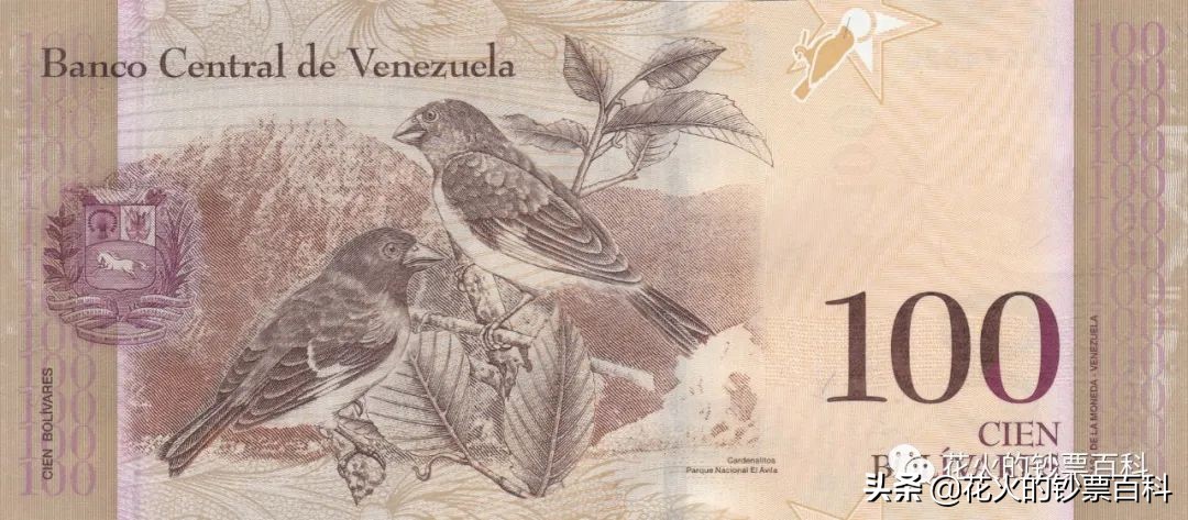 委内瑞拉二元纸币,委内瑞拉50000元纸币解析