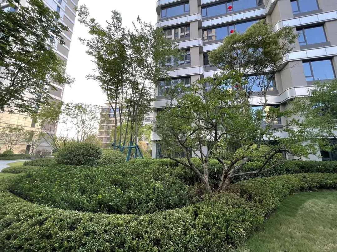 中国铁建西派时代验房,西派时代沣西样板间