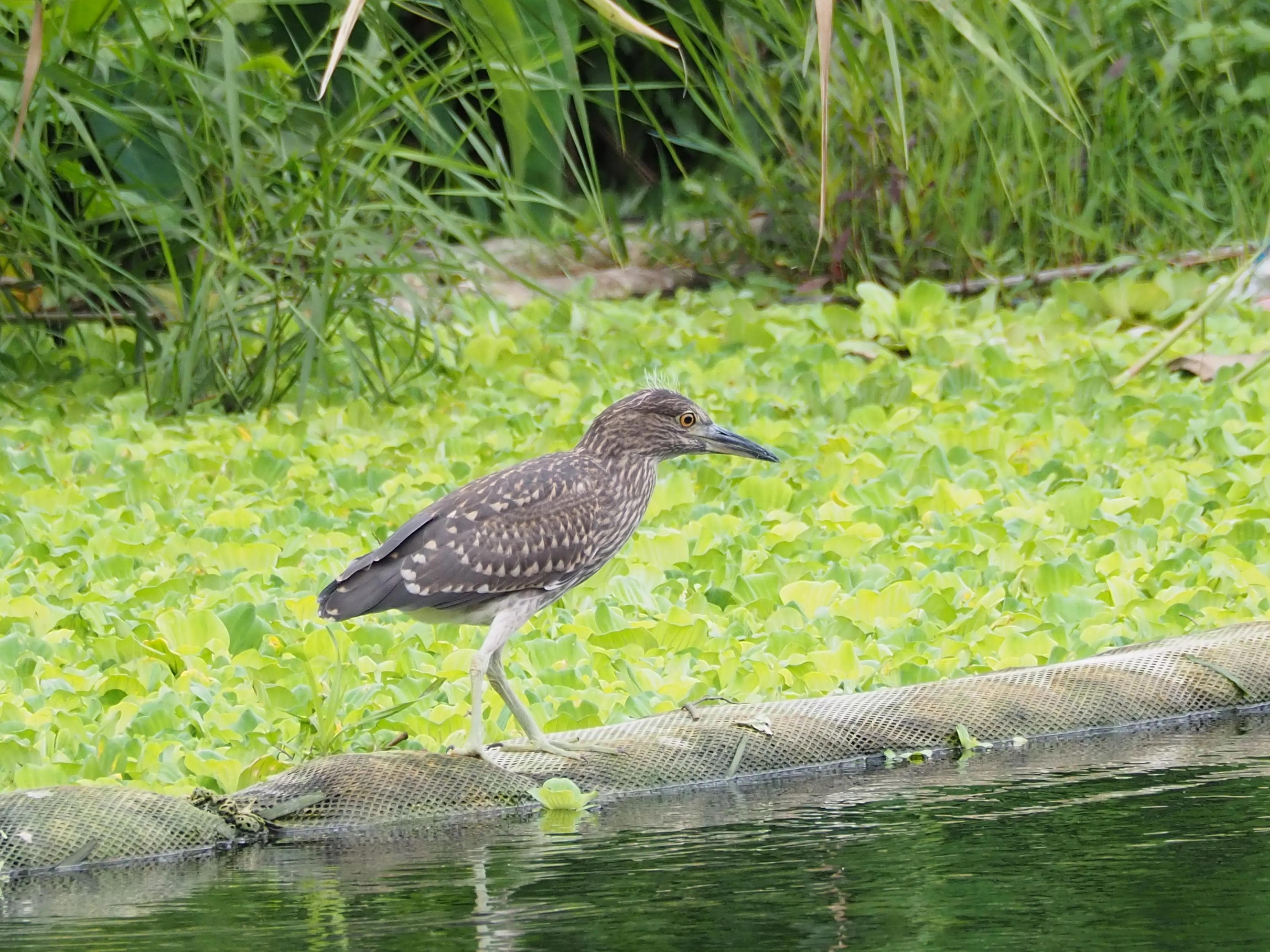 五一假期，O记实录