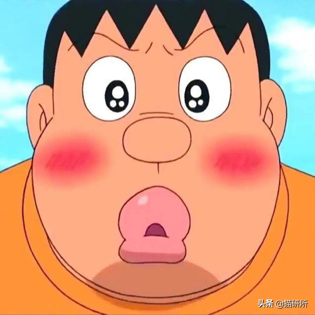 猫咪嘴巴突然肿了怎么办？真不是上火