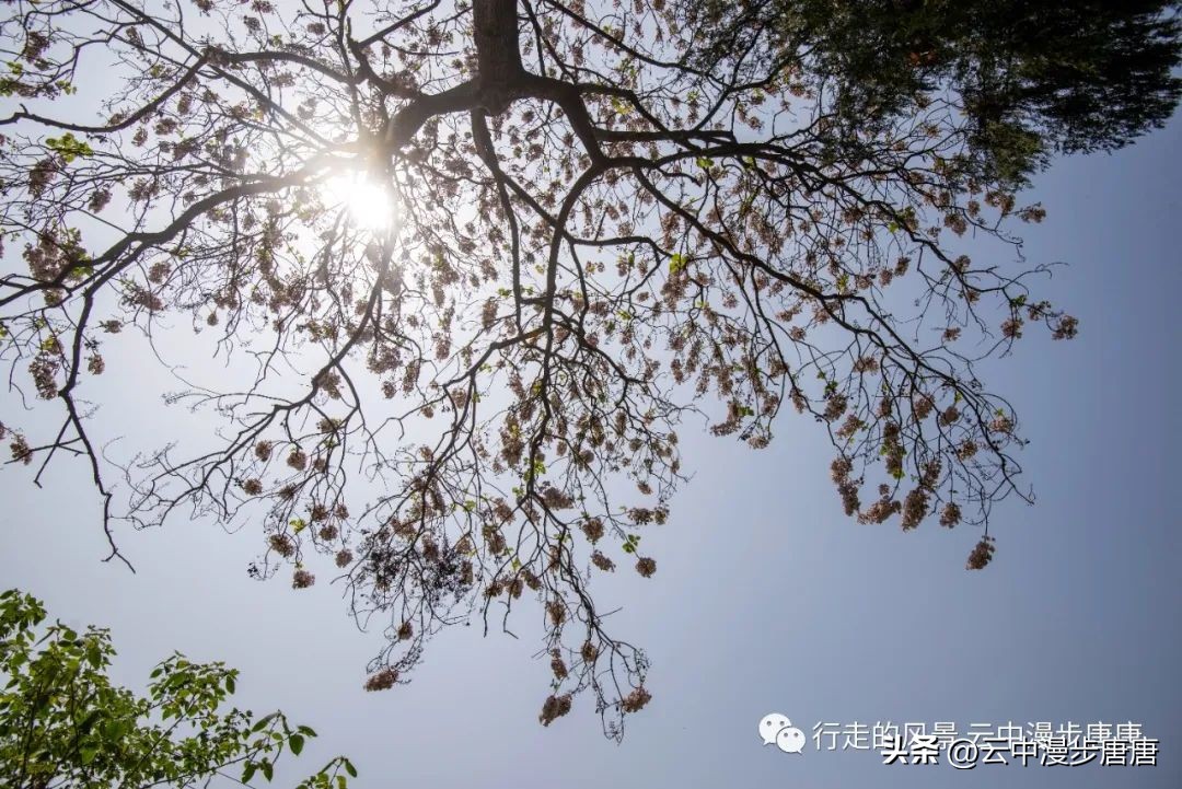 越江码头轮渡,越江轮渡在哪里