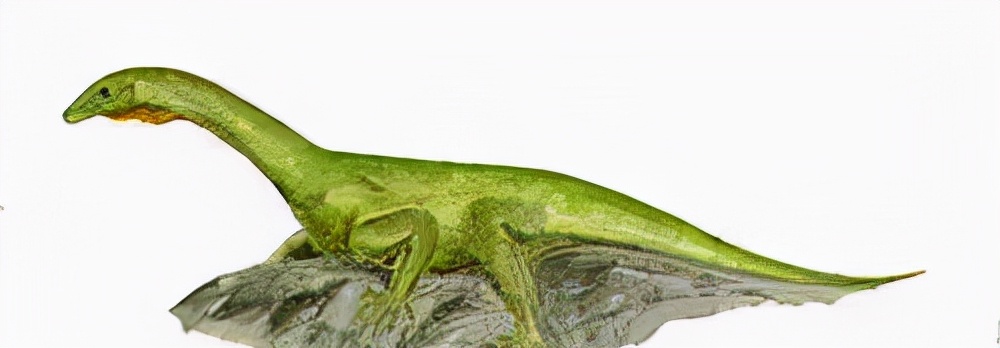 恐龙世界认识史前各种恐龙,食草恐龙和食肉恐龙科普视频