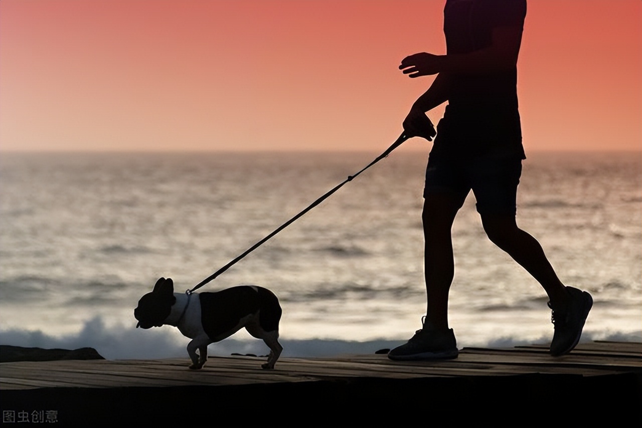狗狗得了狂犬病是什么样的症状,有狂犬病的狗咬人是什么症状