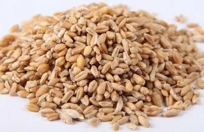 补血当归配什么最好,当归养血柔肝