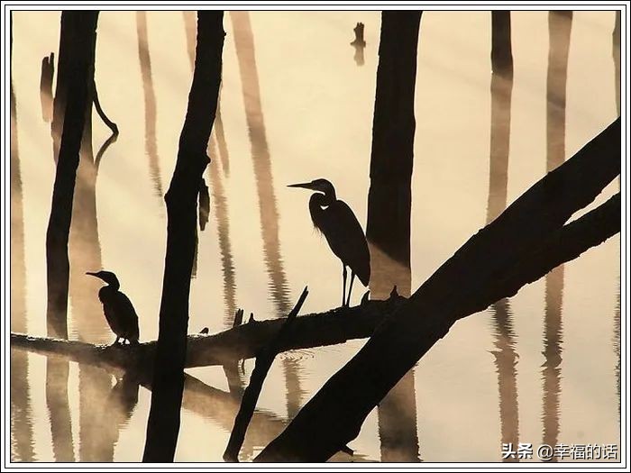 世界上十大最美的地方,盘点世界上最美的地方