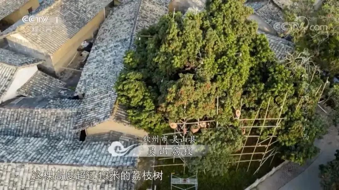 航拍中国广西第四季解说词,航拍中国第四季广西在哪看