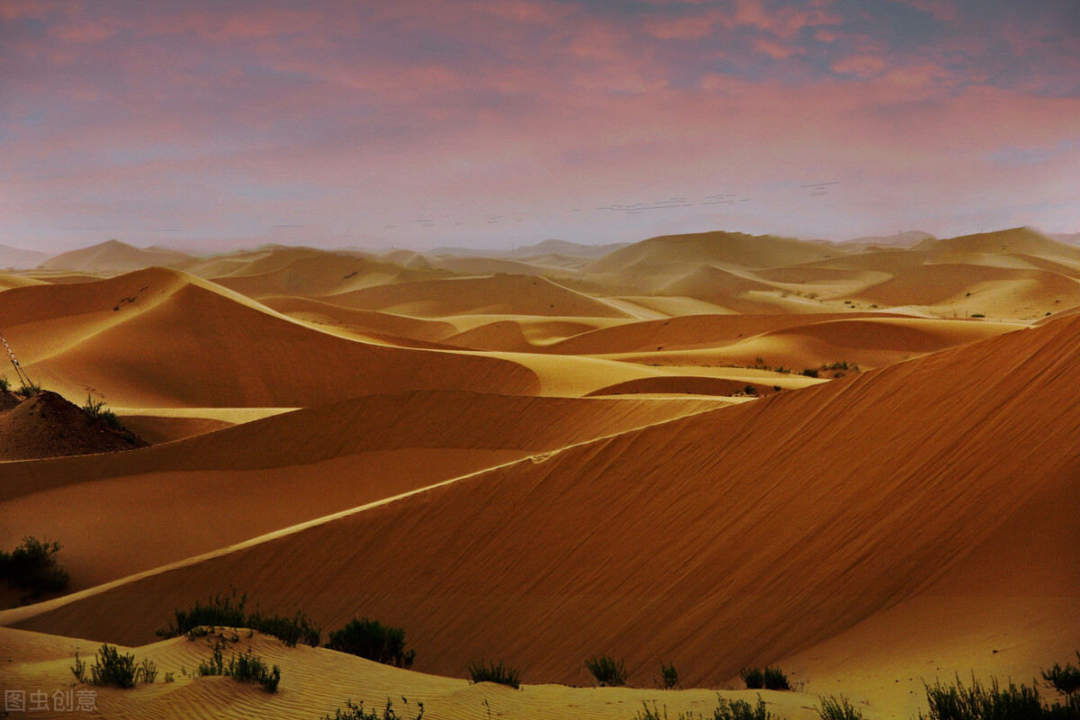 关于边塞风光的诗句只需一句,描写边塞风光的诗句请写出一句