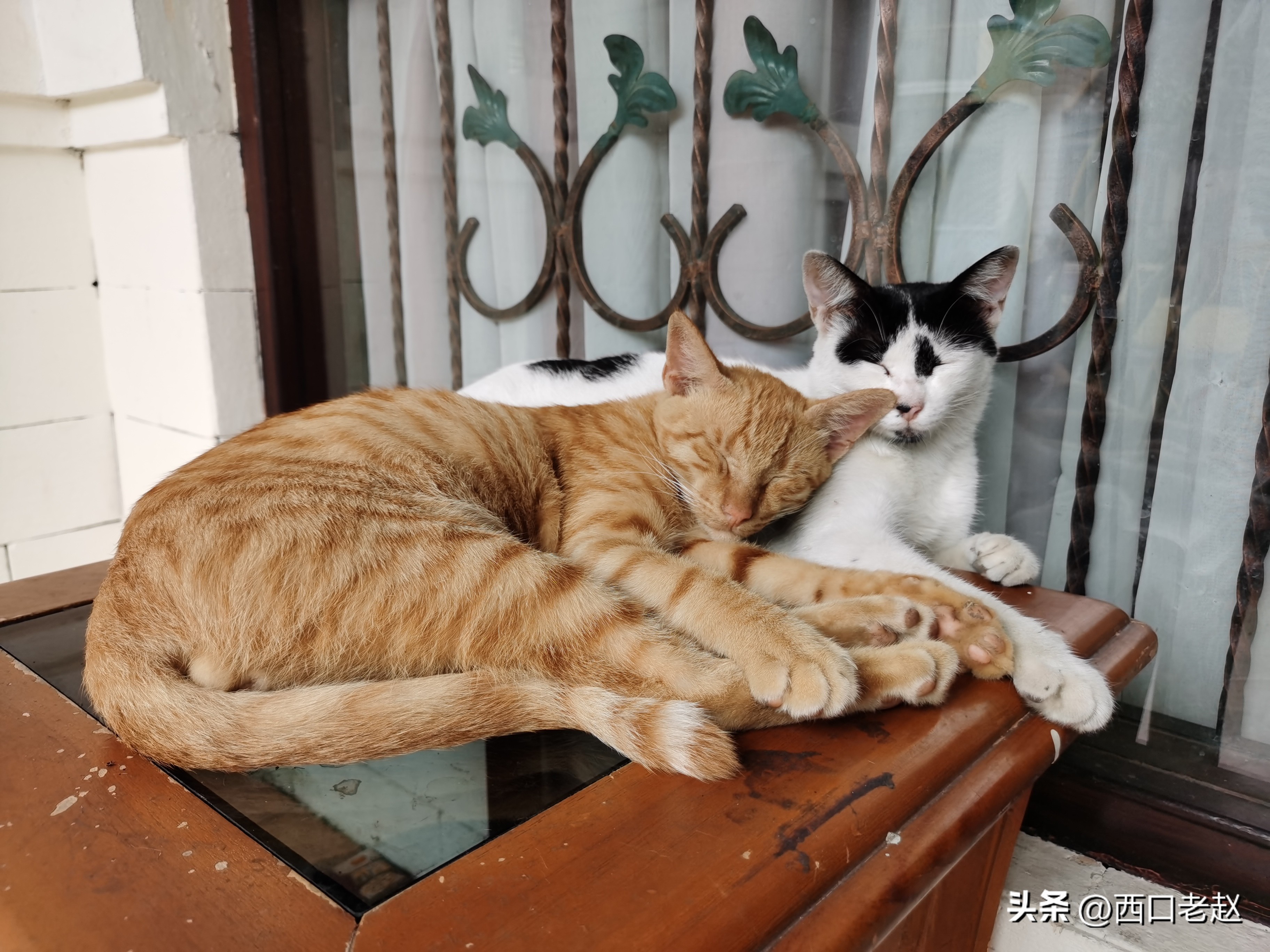 行走在国外的岁月33——致敬我的海外生涯