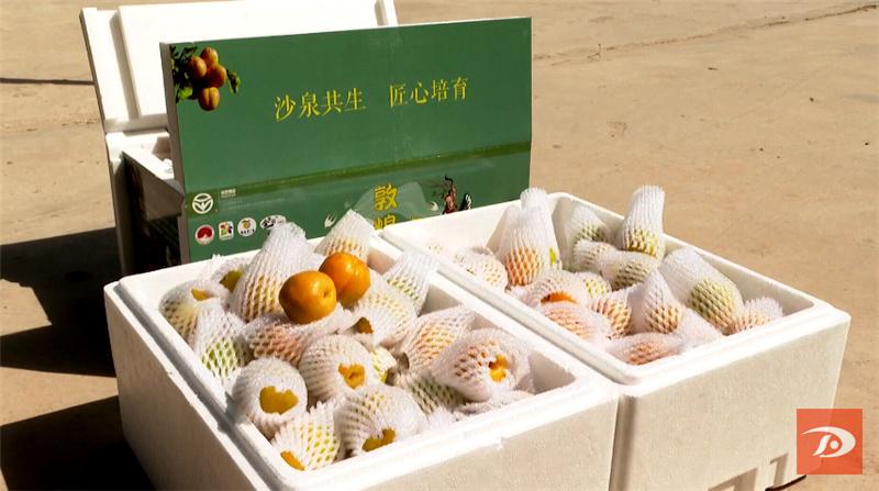 敦煌特产敦煌李广杏成熟上市,敦煌李广杏和其它李广杏的区别