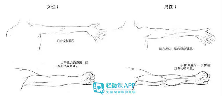 漫画手臂简单画法,如何画手臂动漫