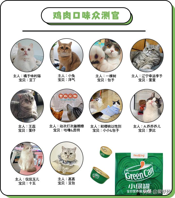 红狗小绿罐怎么样,月销量1000算不算冷门车