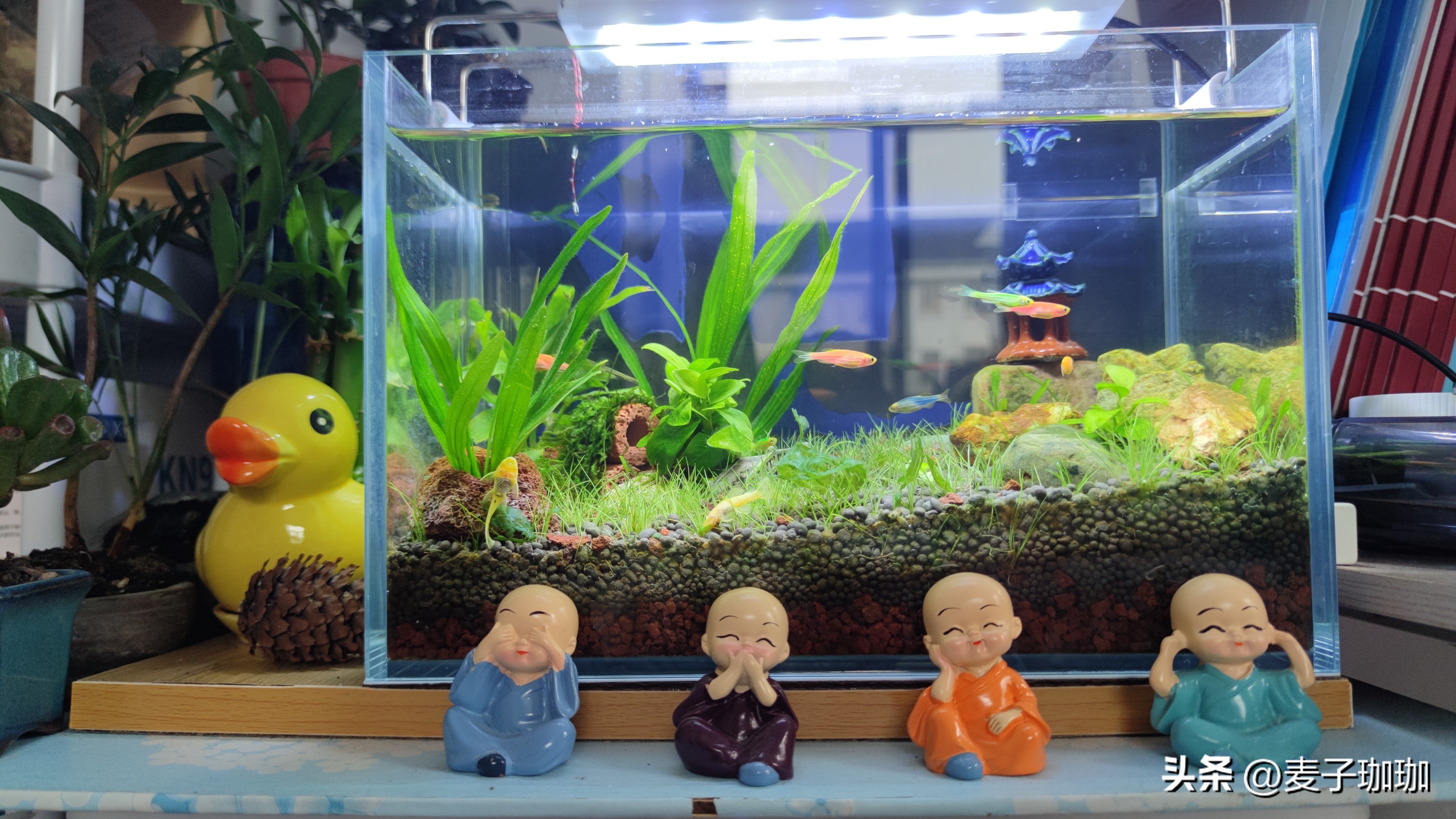 怎么自媒体创业赚钱,抖音最火的自媒体创业项目赚钱