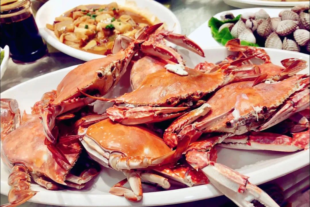 真吃不下了,这个靠海吃海的小县城怎么就能这么好吃