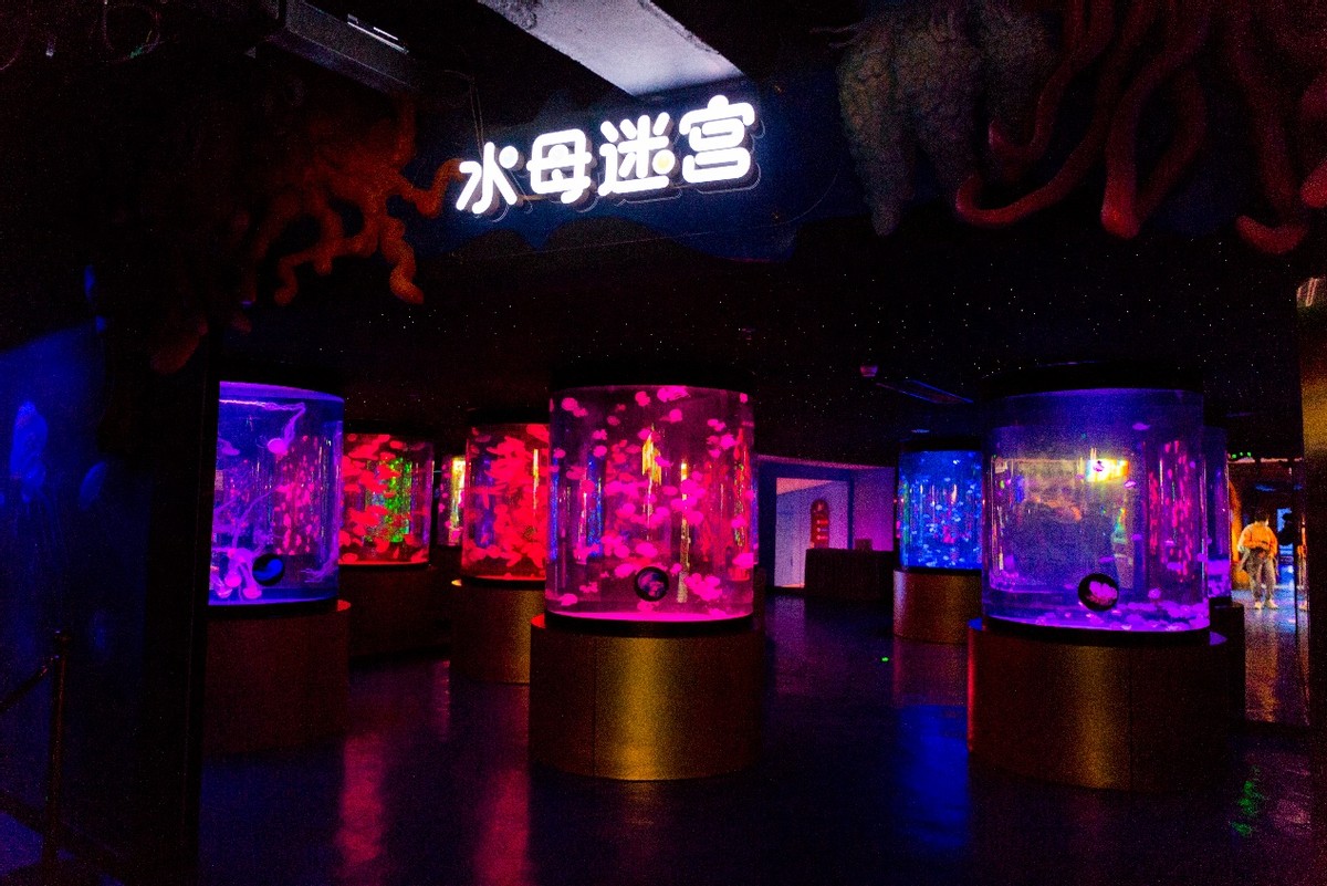 深圳适合带孩子去玩的海洋公园,深圳暑期遛娃好去处