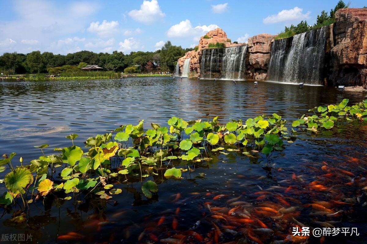 榛戦緳姹熸梾娓稿お闃冲矝,榛戦緳姹熷お闃冲矝椋庢櫙瑙嗛