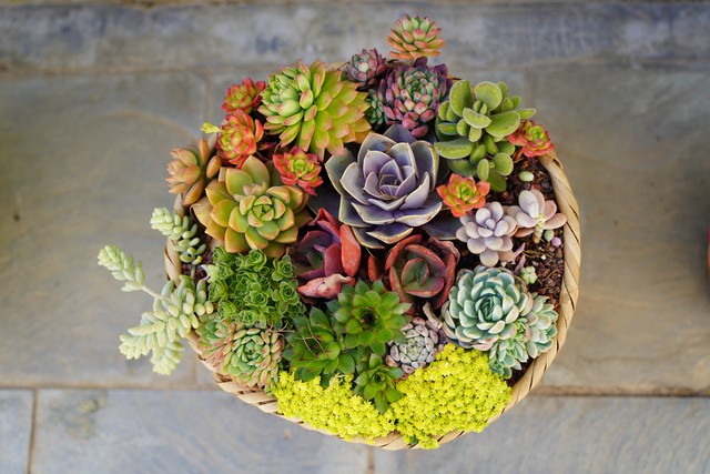 不想跟小人共事怎么跟领导说,遇到小人但是必须和他共事