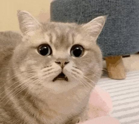 蚊子太烦人了晚上睡不着,总被蚊子吵醒还找不到蚊子是为啥