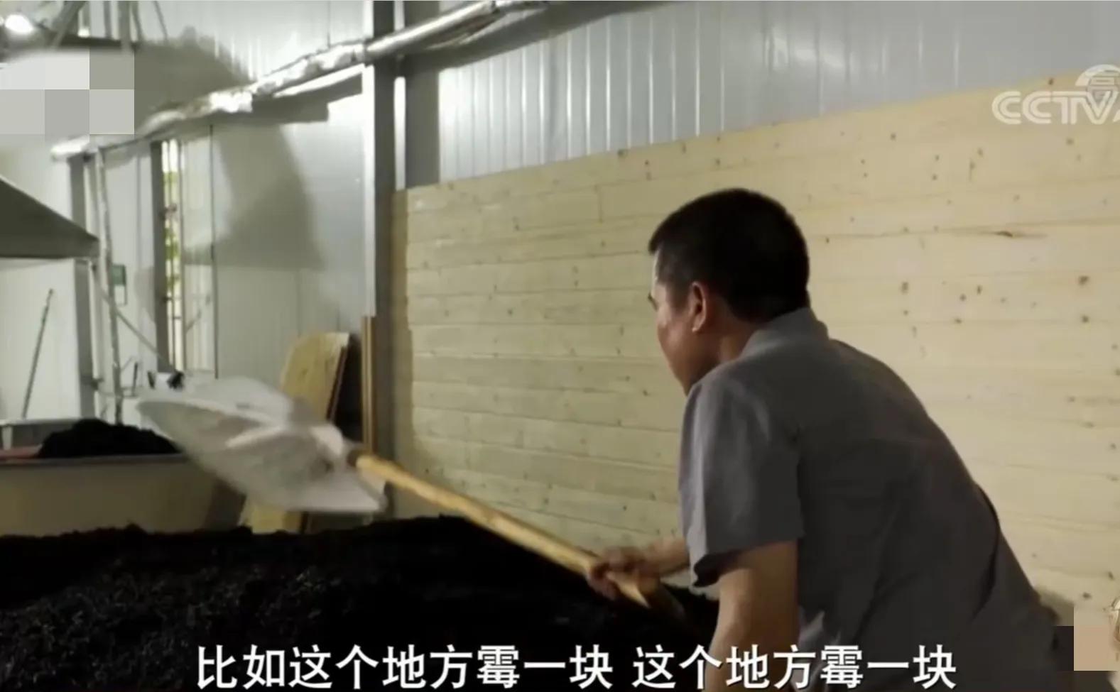 湖南男子钻进深山，将杜仲树叶变成宝，一年卖出上百万元