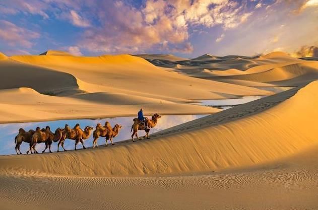 棰濇祹绾虫棗鑳℃潹鏋楅噾鑹茬殑绉嬪ぉ,棰濇祹绾虫棗鐨勯噾鑹茶儭鏉ㄦ灄