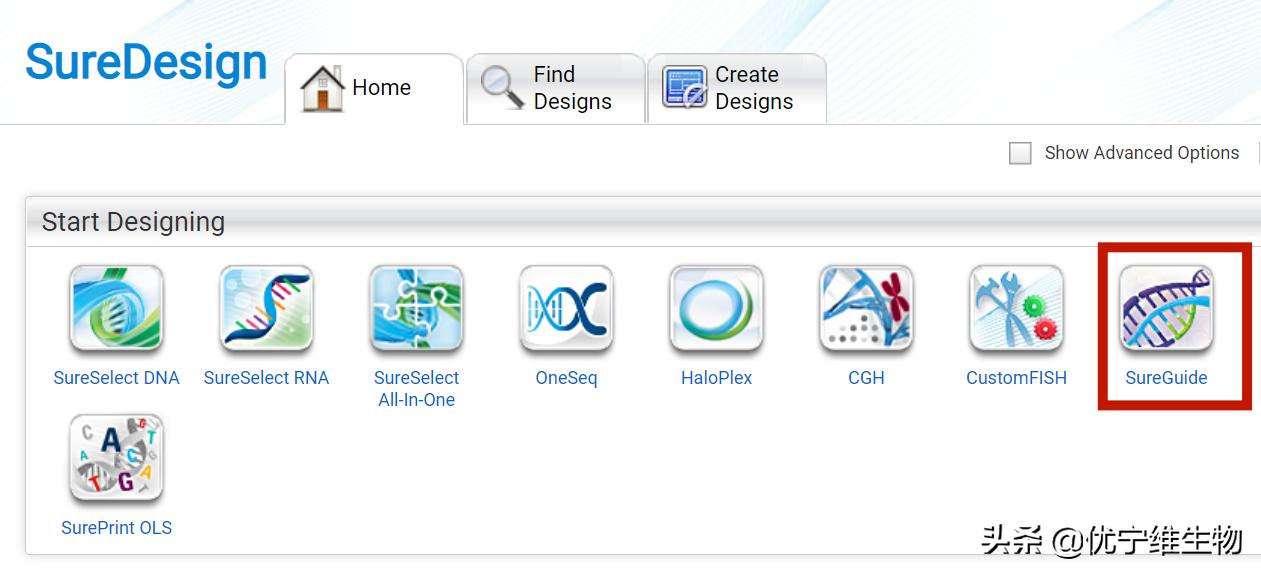 crisprcas9如何设计,crisprcas9应用实例