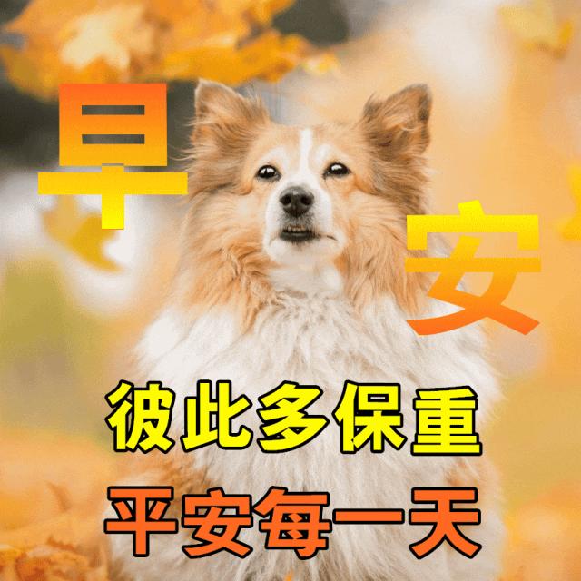 早安经典语录图文,新的一周早安正能量句子图文