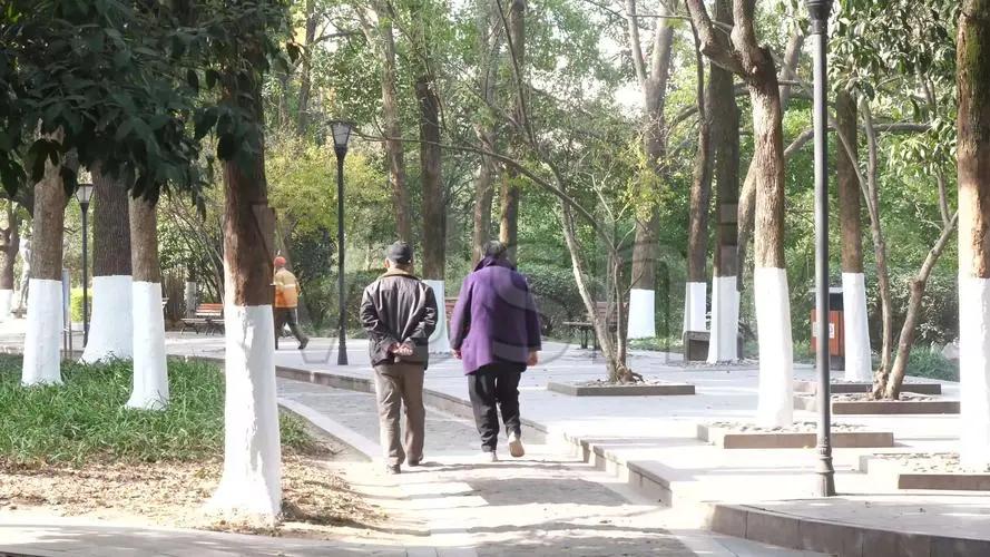 60岁经常散步有什么效果,经常散步对身体健康有益