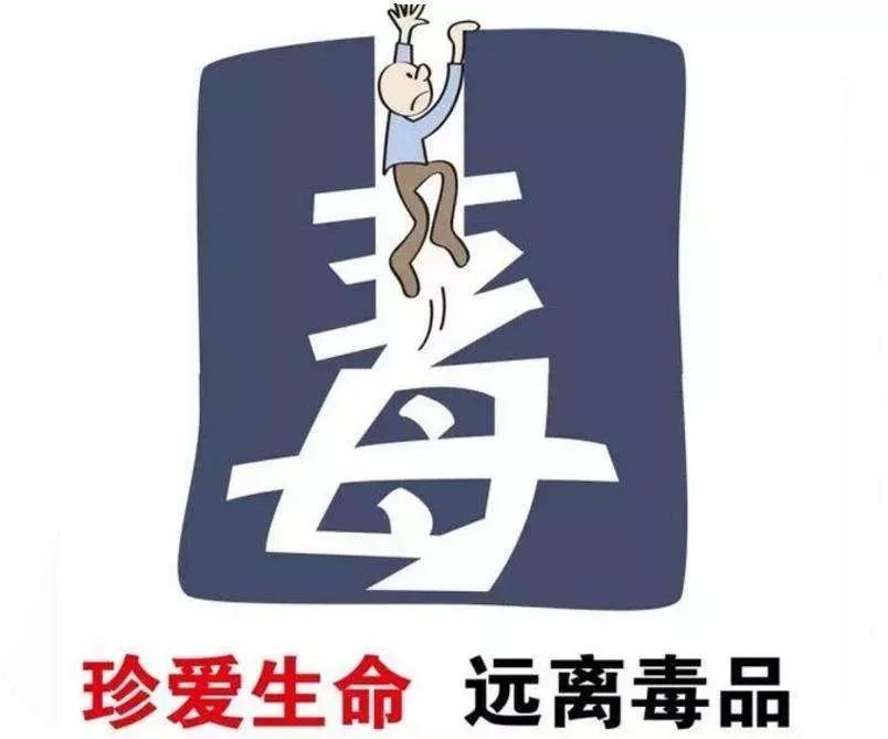 第743期【蒙检说法】代购*品毒**牟小利以身试法获刑