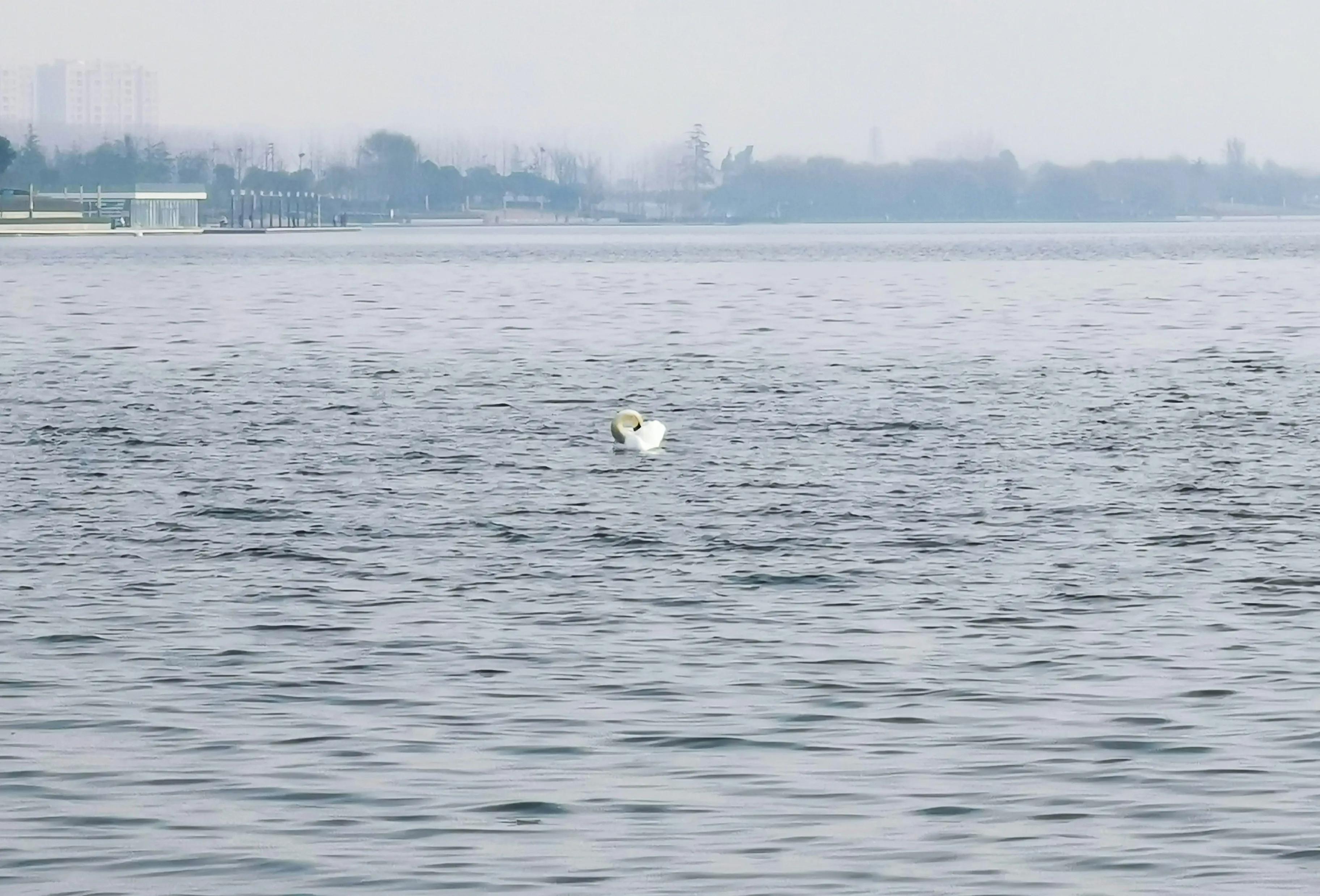 郑州夏季周末带孩子去哪里玩好,郑州周末带孩子去哪里玩比较好