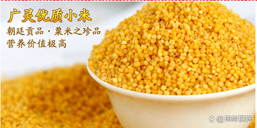 五谷杂粮小米作用,五谷之首唯小米美味可口又营养
