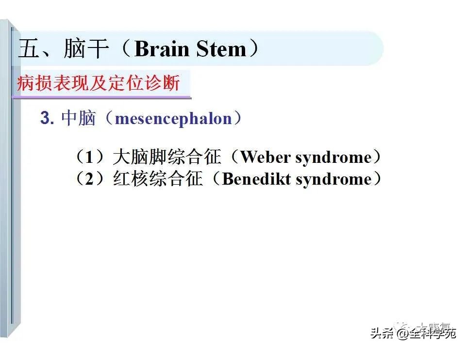神经系统的影像与解剖定位,最全神经解剖图