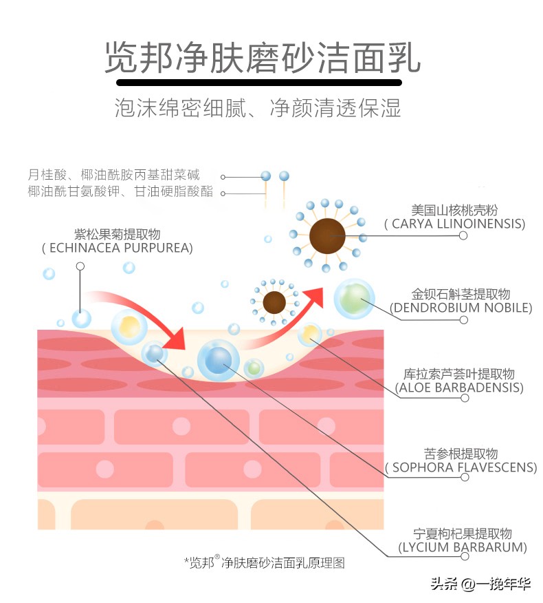 左颜右色mancooes男士洗面奶测评,男士洗面奶公认十大好用品牌