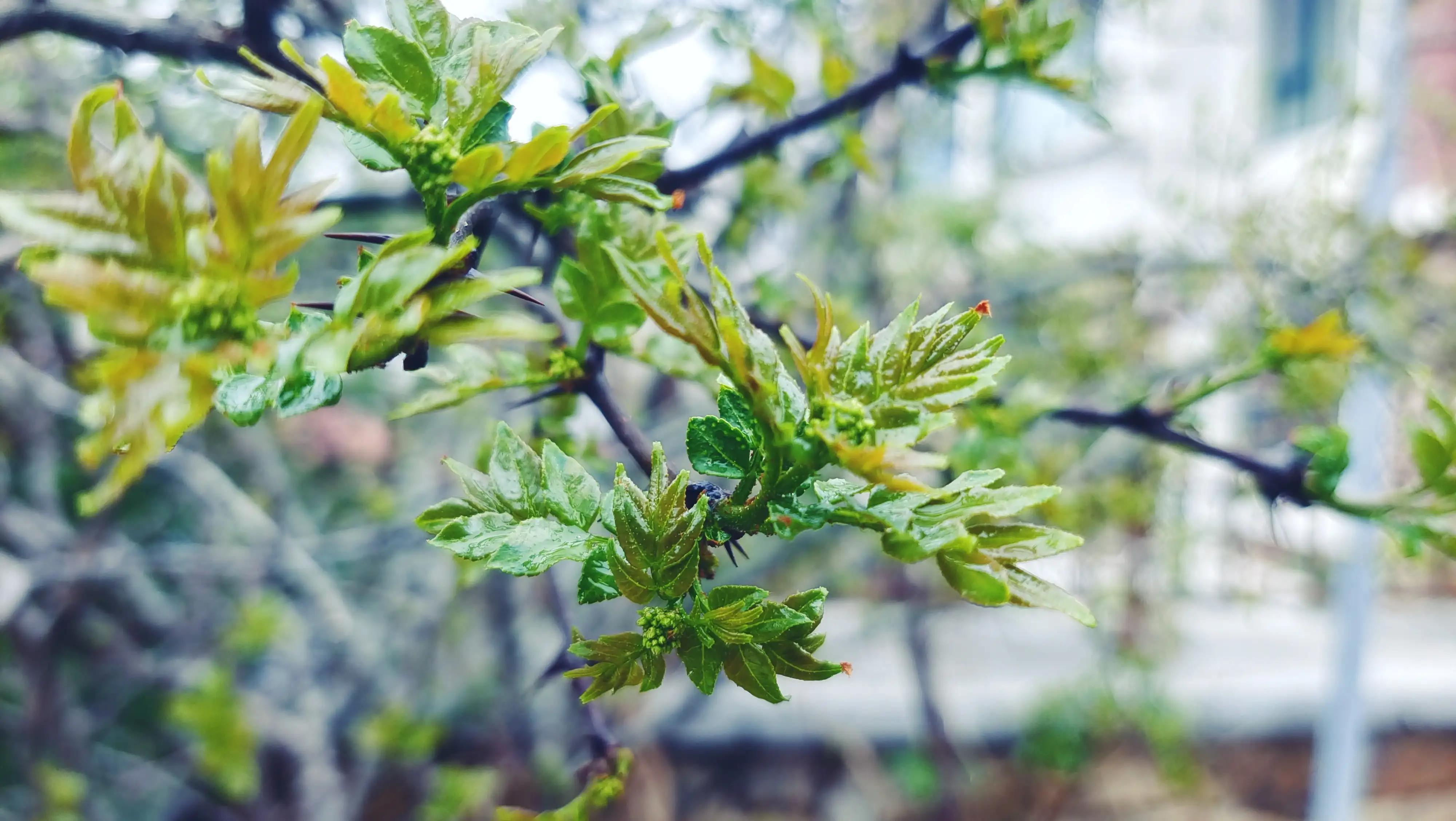 解封后你最想做什么,解封后你最想去的地方