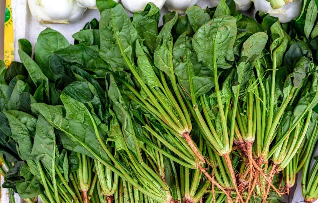 浙江春菜上新品尝春天第一口鲜,春菜正当季快来尝尝春天的味道