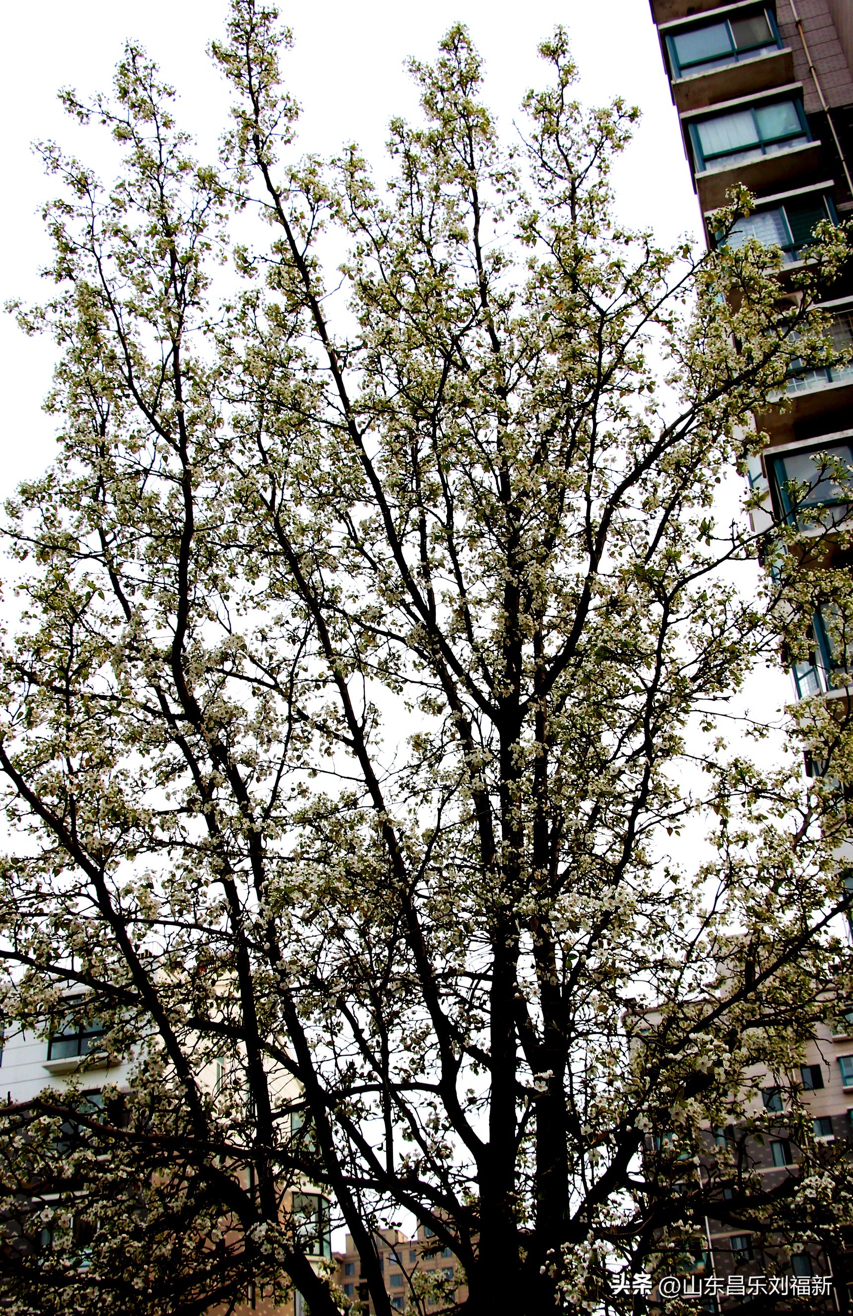 2023年3月中旬散拍·一点儿感受