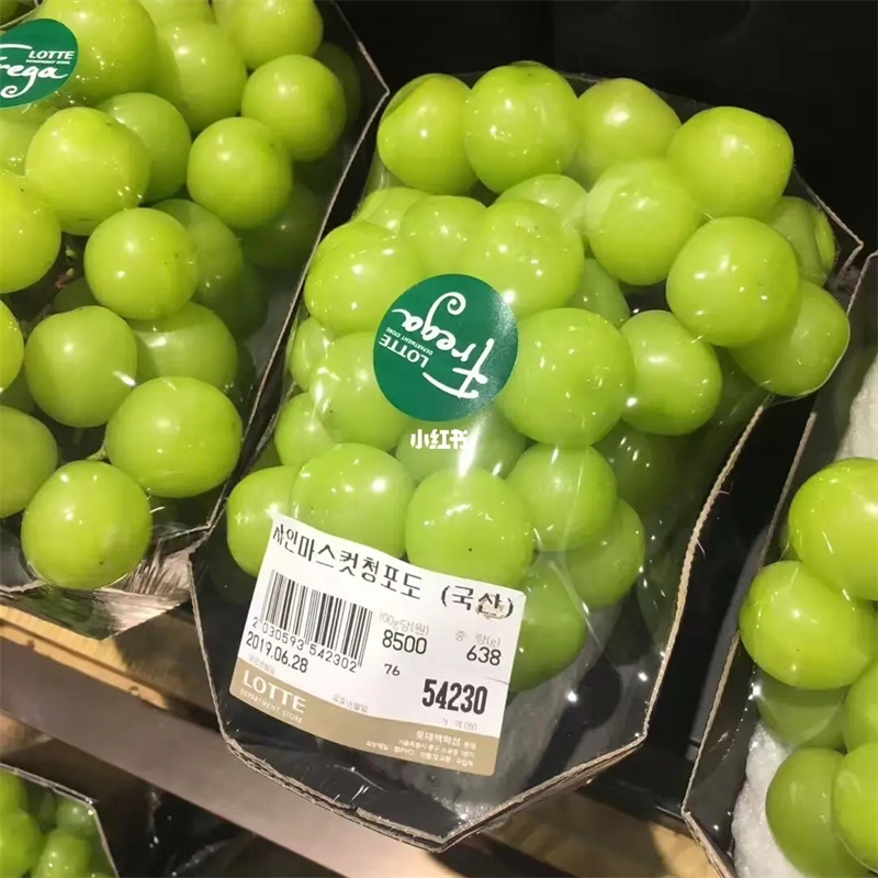 2006年，政府牵头组织租给日方千余亩地，日本人却闲置多年，为何