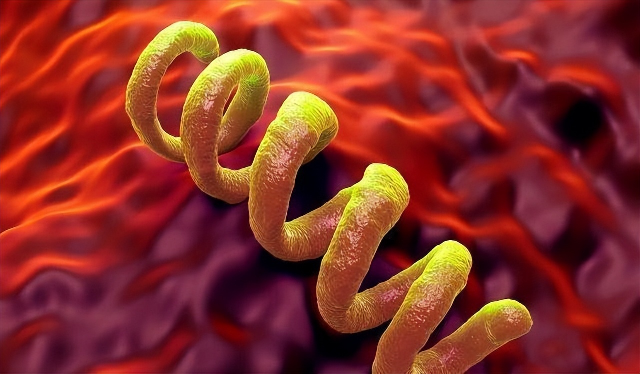 跟男朋友接触皮肤会变好吗,男人得了梅毒的征兆会不会传染