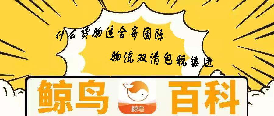 鲸鸟国际快递怎么样,鲸鸟物流
