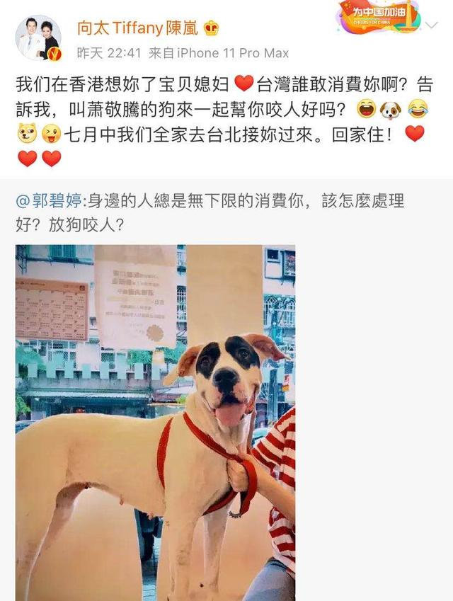 “清醒富婆”向太：8000万买钻石项链还嫌便宜，奖励儿媳上亿别墅