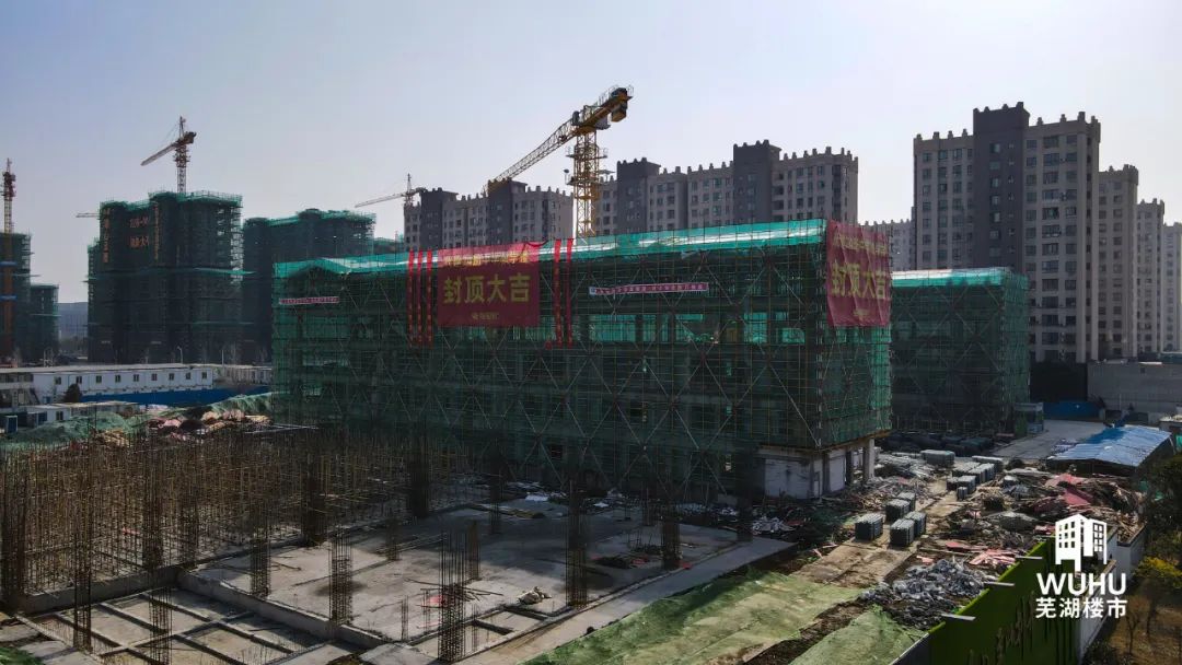 新增11所中小学！芜湖喜提教育大礼包，谁在狂欢？