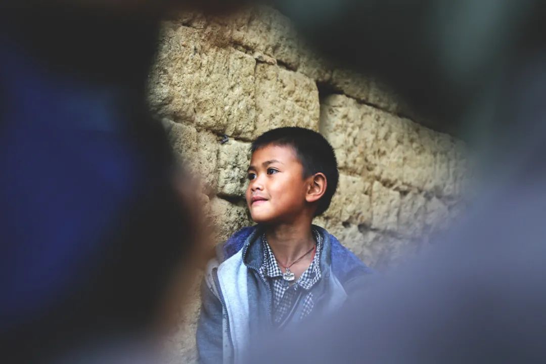 儿时伙伴可怜的小蝌蚪