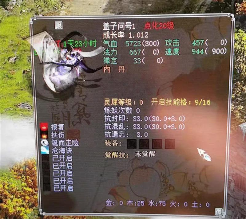 大话西游2点化成功,大话西游2一转没技能