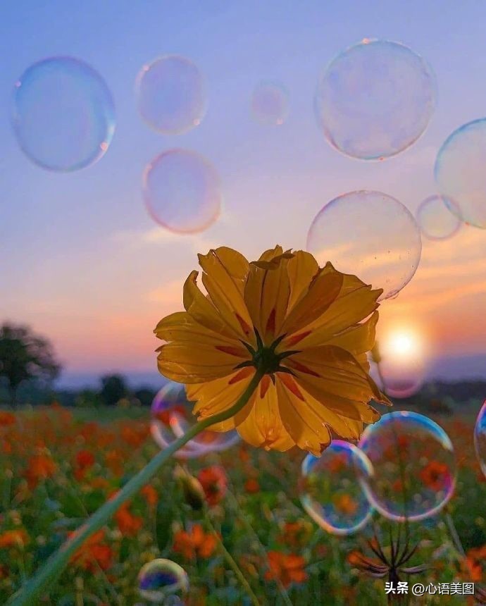 小红书温暖的文案短句,小红书文案大全励志简短句子