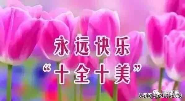 早安心语淡定从容悠然自得,简简单单平平淡淡的早安心语